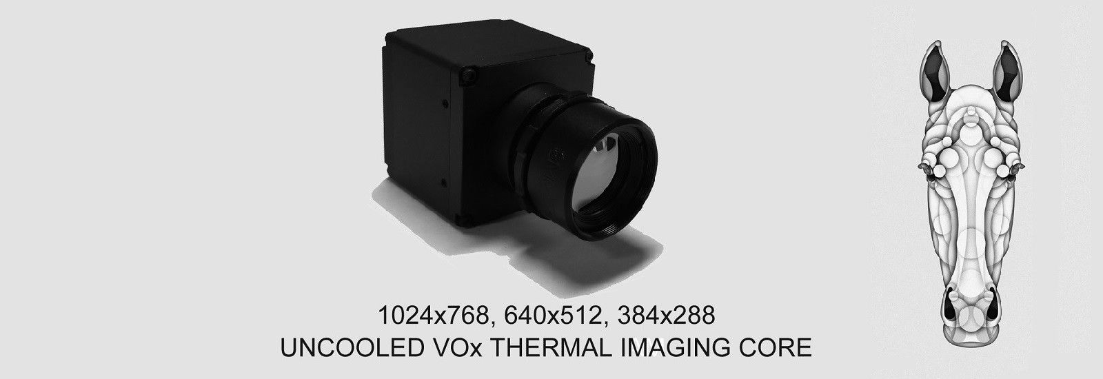 quality Thermal Camera Module factory